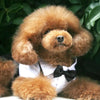 Handsome Stylish Pet Suit with Bow Tie by Furr Baby Gifts