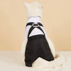 Handsome Stylish Pet Suit with Bow Tie by Furr Baby Gifts