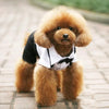 Handsome Stylish Pet Suit with Bow Tie by Furr Baby Gifts