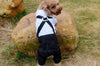 Handsome Stylish Pet Suit with Bow Tie by Furr Baby Gifts