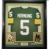 Framed Autographed/Signed Paul Hornung 35x39 Green Bay Green Football Jersey JSA COA