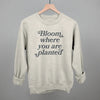 Bloom Where You Are Planted by Ivy + Cloth