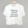 Bloom Where You Are Planted by Ivy + Cloth