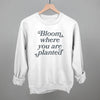 Bloom Where You Are Planted by Ivy + Cloth