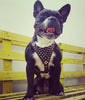''Frenchie'' studded leather harness Small to Medium Size by Bestia Dog Gear