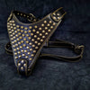 The "Gladiator" harness Gold/Silver by Bestia Dog Gear