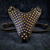 The "Gladiator" harness Gold/Silver by Bestia Dog Gear
