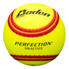 Ballistic Fast pitch Batting Practice Training Softball  