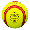 Ballistic Fast pitch Batting Practice Training Softball  