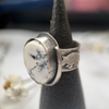 White Buffalo Turquoise Statement Ring | Sterling Silver Armadillo Serpent Band | Made to finish by mend metalworks
