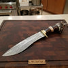 Handmade Damascus Bowie Knife with Stag Horn Handle | Full Tang Fixed Blade by JW SteelCrafts