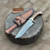 Handmade San Mai Damascus Bowie Knife 9-Inch Laminated Blade with Rosewood Handle by JW SteelCrafts