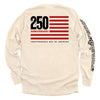 America 250 Years Anniversary Flag by Shield Republic