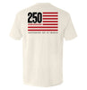 America 250 Years Anniversary Flag by Shield Republic