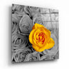 Yellow Rose Glass Wall Art by Insigneart USA