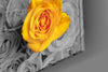 Yellow Rose Glass Wall Art by Insigneart USA