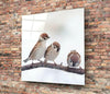 Birds Glass Wall Art by Insigneart USA