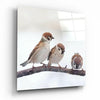 Birds Glass Wall Art by Insigneart USA