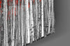 Red Forest Glass Wall Art by Insigneart USA