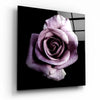 Purple Rose Glass Wall Art by Insigneart USA
