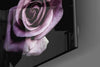 Purple Rose Glass Wall Art by Insigneart USA