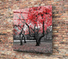 Red Tree Glass Wall Art by Insigneart USA