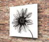 Flower Glass Wall Art by Insigneart USA
