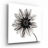 Flower Glass Wall Art by Insigneart USA