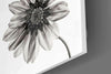 Flower Glass Wall Art by Insigneart USA