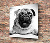 Pug Glass Wall Art by Insigneart USA