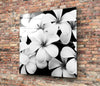 Black and White Flowers Glass Wall Art by Insigneart USA