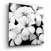 Black and White Flowers Glass Wall Art by Insigneart USA