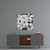 Black and White Flowers Glass Wall Art by Insigneart USA