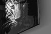 Leopard Glass Wall Art by Insigneart USA