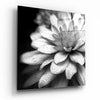 Flower Glass Wall Art by Insigneart USA