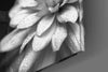 Flower Glass Wall Art by Insigneart USA