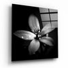 Flower Glass Wall Art by Insigneart USA