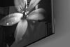 Flower Glass Wall Art by Insigneart USA