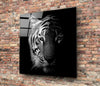 Tiger Glass Wall Art by Insigneart USA