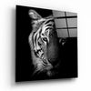 Tiger Glass Wall Art by Insigneart USA