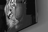 Tiger Glass Wall Art by Insigneart USA