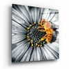 Bee Glass Wall Art by Insigneart USA
