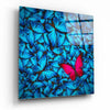 Butterfly Glass Wall Art by Insigneart USA