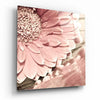 Pink Flower Glass Wall Art by Insigneart USA