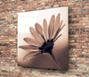 Flower Glass Wall Art by Insigneart USA
