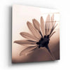 Flower Glass Wall Art by Insigneart USA
