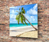 Palm Tree Glass Wall Art by Insigneart USA
