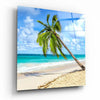 Palm Tree Glass Wall Art by Insigneart USA