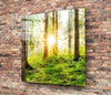 Forest Glass Wall Art by Insigneart USA
