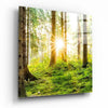 Forest Glass Wall Art by Insigneart USA